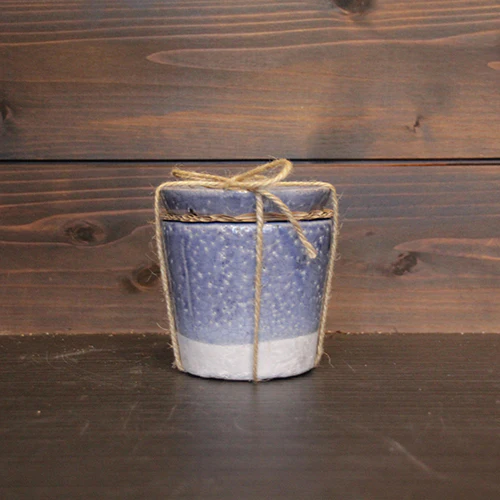 	植木鉢セット（ブルー）	