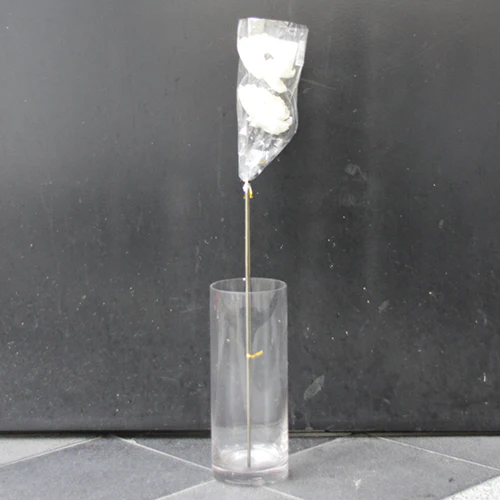 	ソーラーシャクヤク２本（白）	