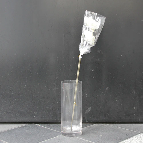 	ソーラーシャクヤク２本（白）	