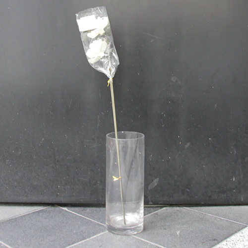 	ソーラーアネモネ２本（白）	